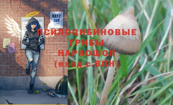 PSILOCYBIN Карпинск