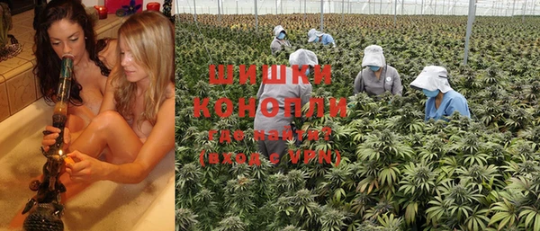 PSILOCYBIN Карпинск