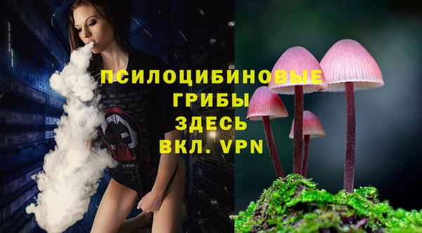 первитин Касимов