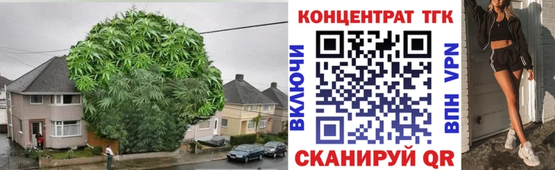 Купить  Щигры  ТГК Wax 