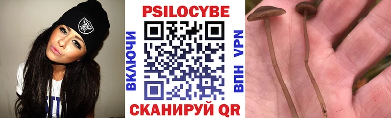 Купить где  Щигры  Галлюциногенные грибы ЛСД 